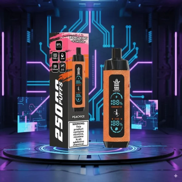 Custodia in pelle per vaporizzatore Bang King da 25000 tiri | Davvero duraturo, davvero elegante