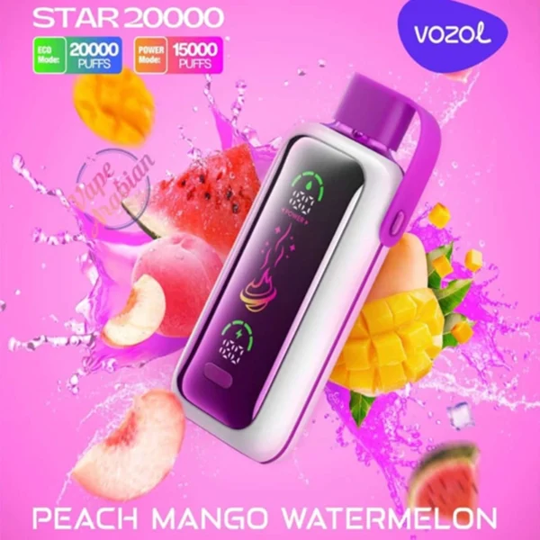 Vozol Star 20k Puffs Disposable Vape with Full Screen | Long-Lasting Flavour, Made Easy - Obraz 13