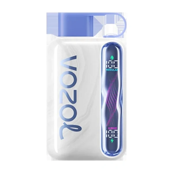 Vozol Vista 40k Puffs Dual Mesh Coil Disposable Vape | Big Puff Count, Easy Recharge