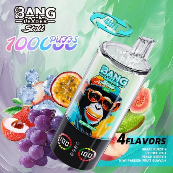 Bang Leader 100k 100000 Puffs 4in1 Multi Flavor | Four Flavours, One Device, Less Hassle - Afbeelding 8