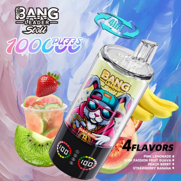 Bang Leader 100k 100000 Puffs 4in1 Multi Flavor | Four Flavours, One Device, Less Hassle - Afbeelding 4