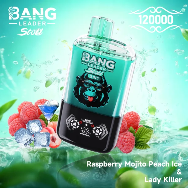 Bang Leader 120k 120000 Puffs 2in1 Flavor Vape | Two Flavours in One, Less Hassle Day-to-Day - Bild 7