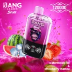 Bang Leader 120k, 120.000 caladas, vaporizador 2 en 1 | Dos sabores en uno, menos complicaciones en el día a día