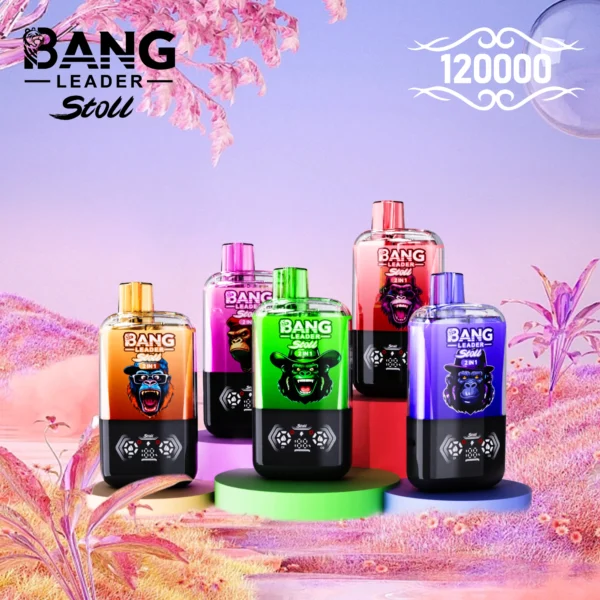 Bang Leader 120k 120000 Puffs 2in1 Flavor Vape | Two Flavours in One, Less Hassle Day-to-Day - Bild 6