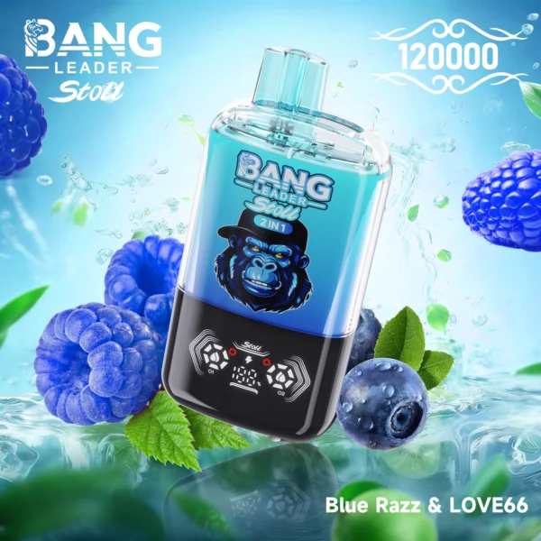 Bang Leader 120k 120000 Puffs 2in1 Flavor Vape | Two Flavours in One, Less Hassle Day-to-Day - Bild 3