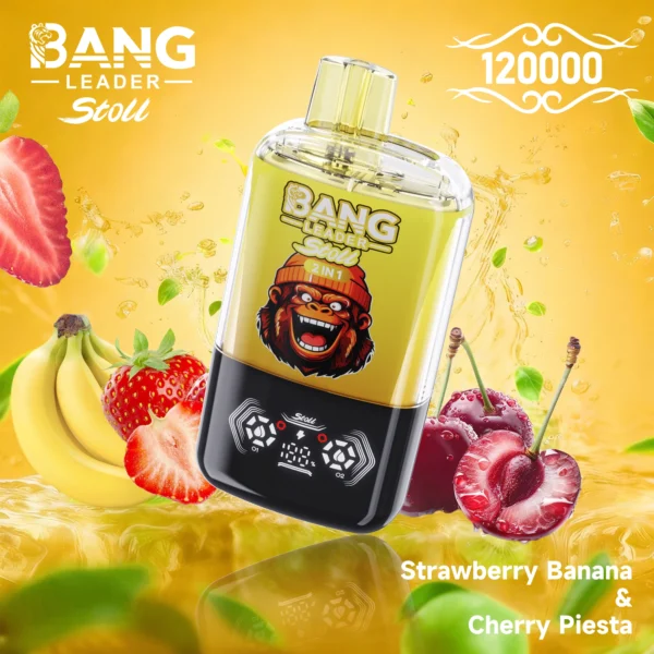 Bang Leader 120k 120000 Puffs 2in1 Flavor Vape | Two Flavours in One, Less Hassle Day-to-Day - Bild 14