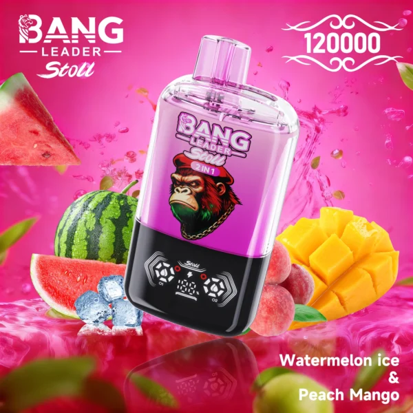 Bang Leader 120k 120000 Puffs 2in1 Flavor Vape | Two Flavours in One, Less Hassle Day-to-Day - Bild 13
