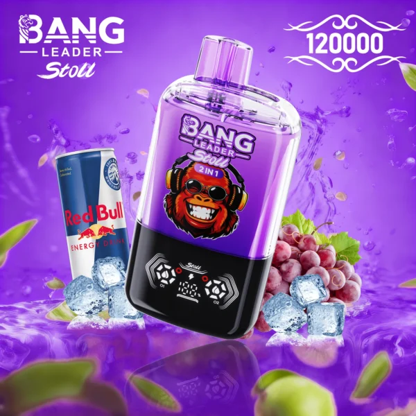 Bang Leader 120k 120000 Puffs 2in1 Flavor Vape | Two Flavours in One, Less Hassle Day-to-Day - Bild 11