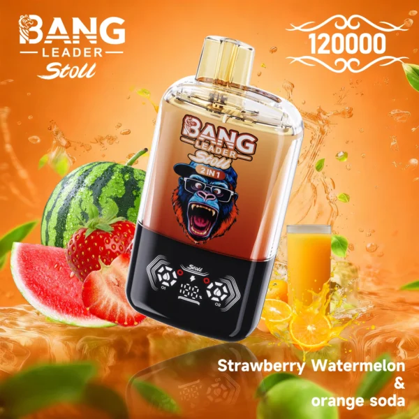 Bang Leader 120k 120000 Puffs 2in1 Flavor Vape | Two Flavours in One, Less Hassle Day-to-Day - Bild 10