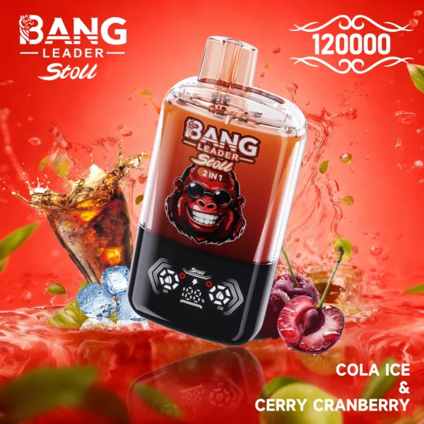 Bang Leader 120k 120000 Puffs 2in1 Flavor Vape | Two Flavours in One, Less Hassle Day-to-Day - Bild 9