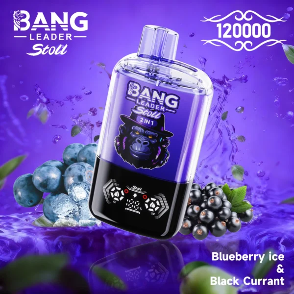 Bang Leader 120k 120000 Puffs 2in1 Flavor Vape | Two Flavours in One, Less Hassle Day-to-Day - Bild 8