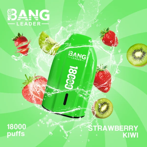 Bang Leader 18k 18000 Puffs LED Screen Vape | Big Puff Count, Simple Everyday Use