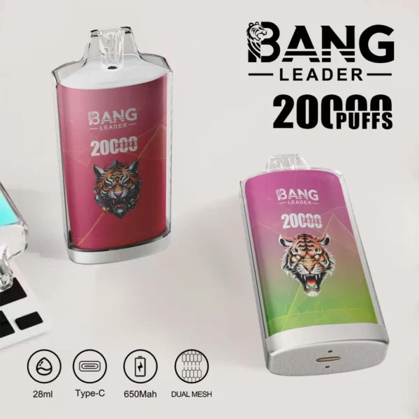 Bang Leader 20000 tiri monouso Vape Dual Mesh