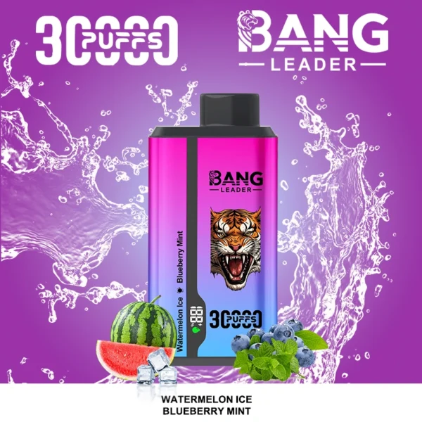 Bang Leader 30k 30000 tiri Dual Flavor Vape | Due gusti, un dispositivo, meno problemi