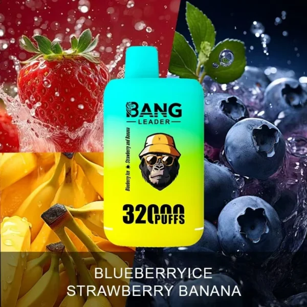 Bang Leader 32k 32000 tiri Dual Mesh Vape | Numero elevato di tiri, semplice utilizzo quotidiano