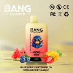 Bang Leader 45k 45000 Puffs Switch Flavor Vape | Dois sabores, uma simples troca
